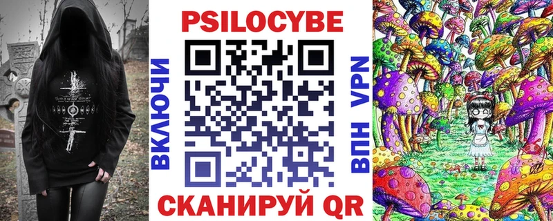где купить наркоту  Чадан  Галлюциногенные грибы мухоморы 