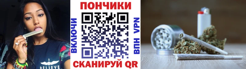 OMG онион  Чадан  Шишки марихуана SATIVA & INDICA  купить наркотик 